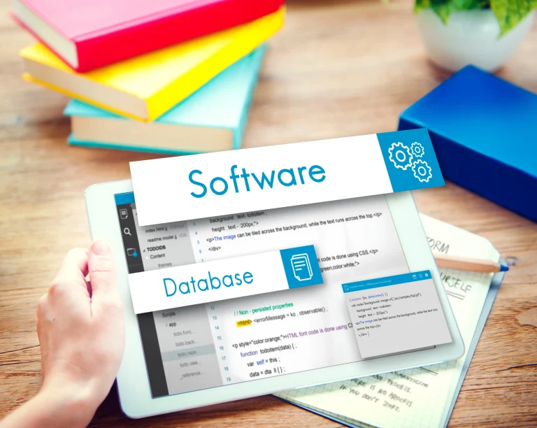 Custom Software Development Benefits and Business Guide